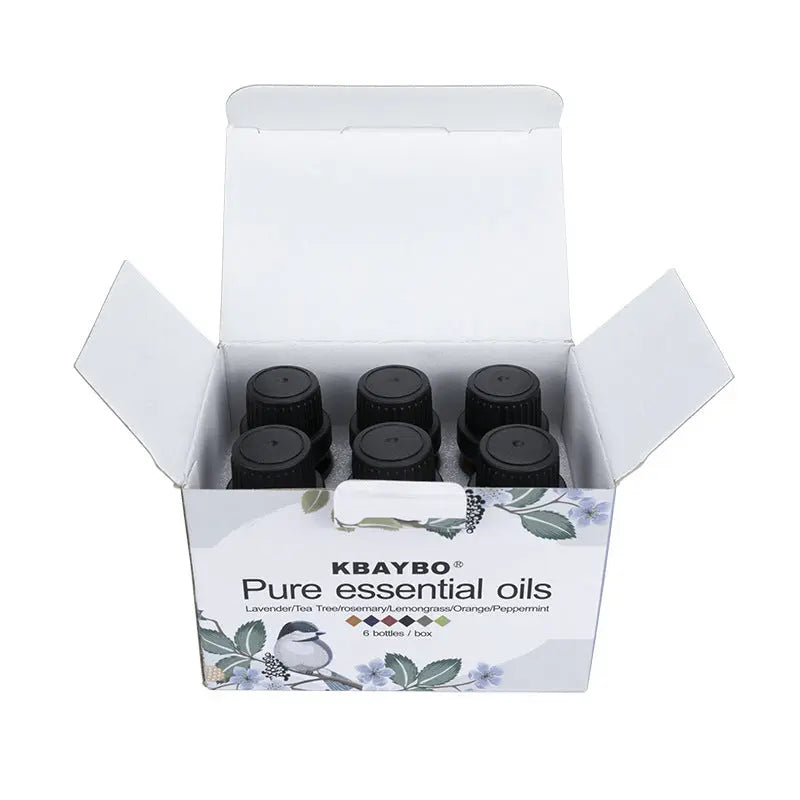 6 Piece Aromatherapy Essential Oil Set